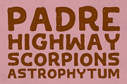 St. Mojave - Hand Drawn Font, a Handwritten Font by UppercapType (Thumbnail 7 of 12)