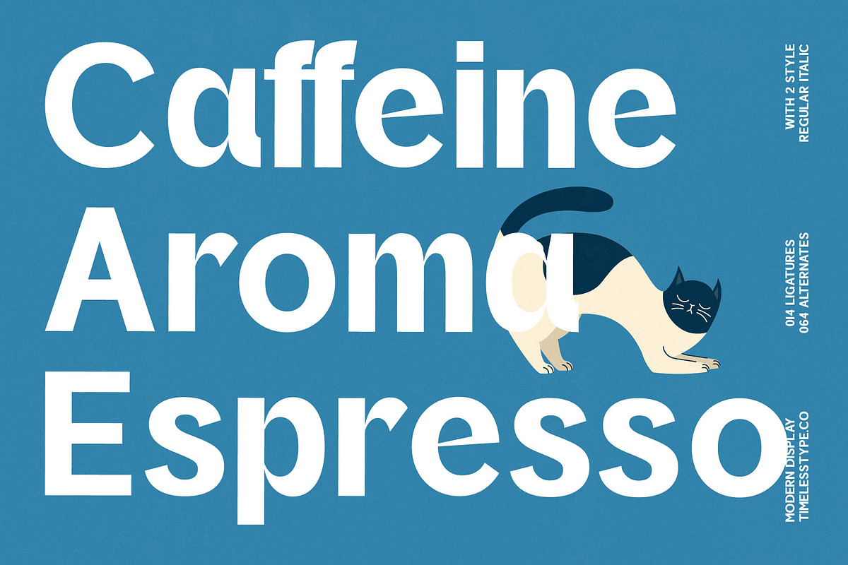 Oritale Modern Display Font, a Sans Serif Font by timelesstype.co (Photo 9 of 20)