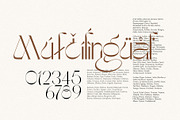 The Kaluge + BONUS ILLUSTRATIONS, a Serif Font by Alcode (Thumbnail 11 of 23)
