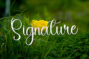 Delight, a Handwritten Font by InermediaSTUDIO (Thumbnail 6 of 7)