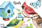 Watercolor Birds, an Illustration by Roodi and Bear (Thumbnail 1 of 2)
