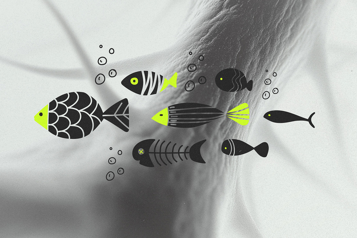 Fishes & Underwater Elements, an Object Graphic by Parisa-Artstudio (Photo 3 of 5)