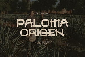 Paloma Origen Handdrawn Vintage Font, a Slab Serif Font by Imoodev
