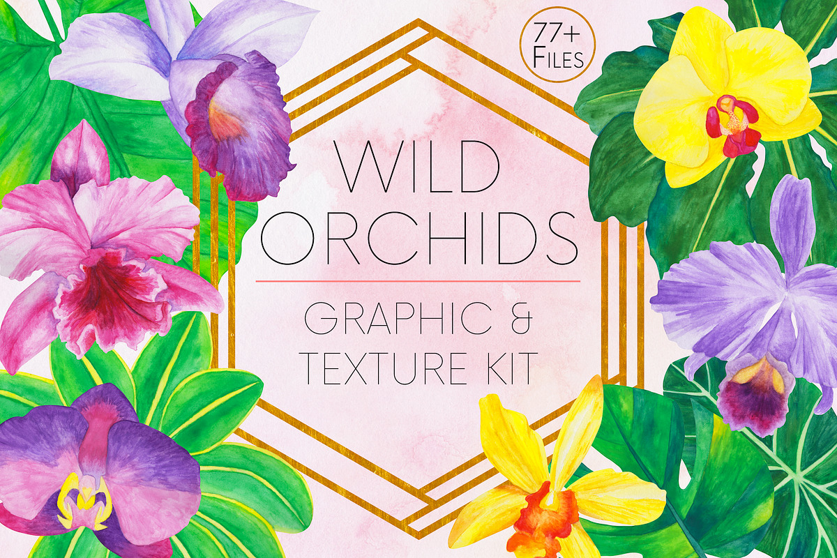 Wild Orchids Graphic and Texture Kit, a Graphic by Method & Process (Photo 1 of 15)