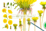 Dandelions-clipart set watercolor, an Illustration by watercolorwild.graphics (Thumbnail 2 of 11)