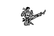 Dynamic martial arts kick silhouette, an Illustration by Amazin_art (Thumbnail 8 of 36)