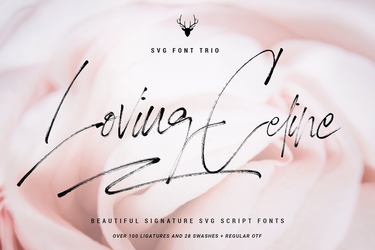 SAVE 50% - SVG Script Font Bundle preview 6