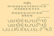MOONEYES - Modern Serif, a Serif Font by erlosDESIGN (Thumbnail 13 of 15)
