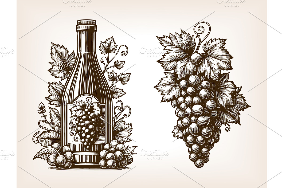 wine bottle and grape cluster, a Food Illustration by AlexArt