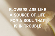 Again  Modern Sans Serif Font, a Sans Serif Font by Perfectype (Thumbnail 5 of 5)
