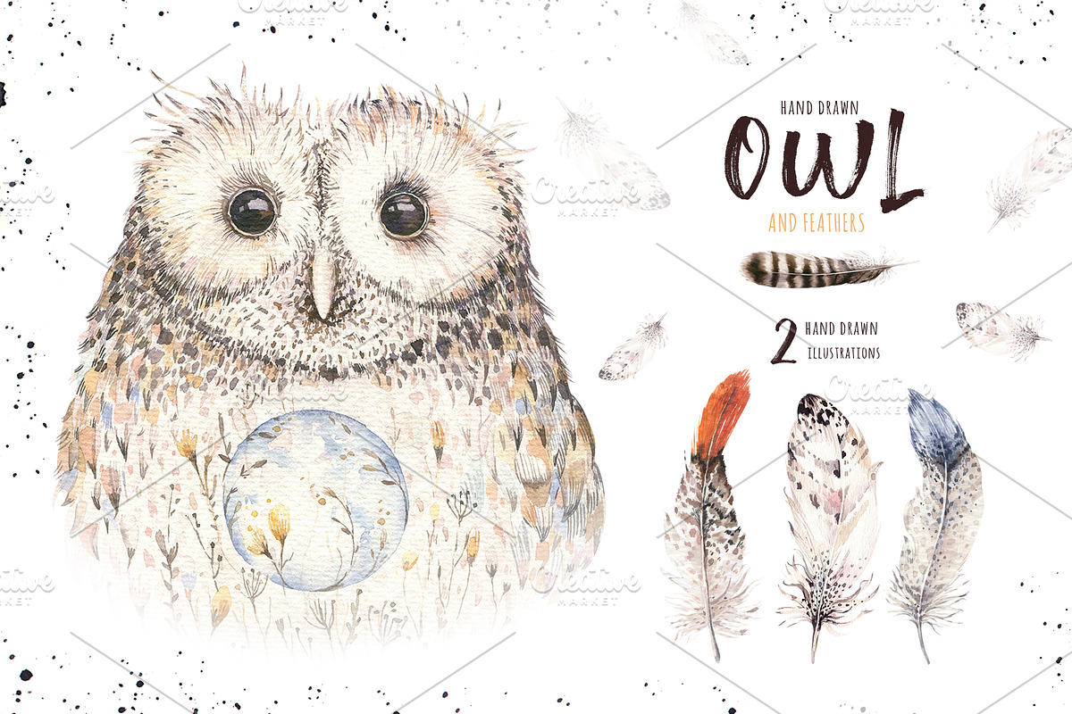 Watercolor owl & feathers collection, a Decorative Illustration by ...