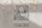 Roses line art design, an Object Graphic by Vera●Suleimanova (Thumbnail 2 of 17)