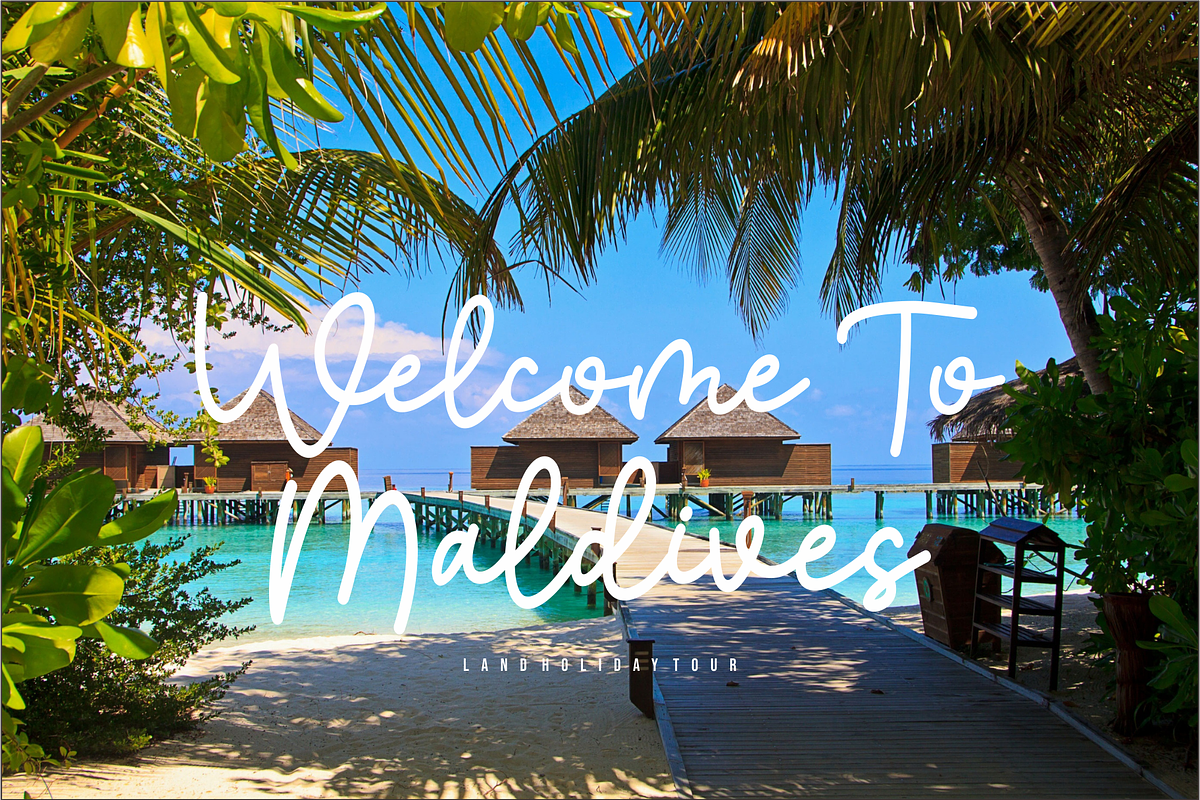 Euproshyne, a Script Font by And Studio (Photo 5 of 16)