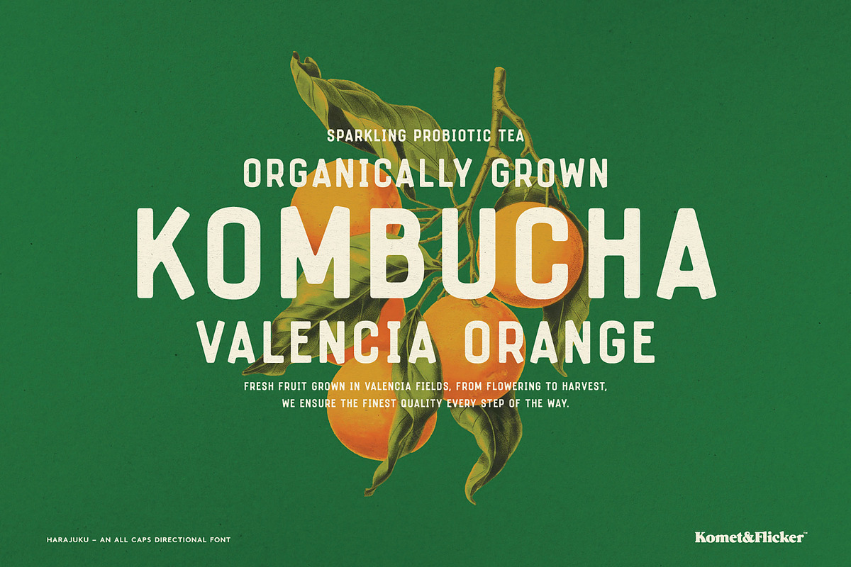 Harajuku - A Directional Font, a Sans Serif Font by Komet & Flicker (Photo 3 of 14)
