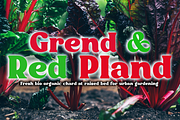 Kelimajaroe | Bold Vintage, a Serif Font by LuhopCreative (Thumbnail 11 of 11)