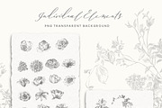 Pencil Sketch Flowers Clipart, an Illustration by BlumenSoul (Thumbnail 7 of 11)