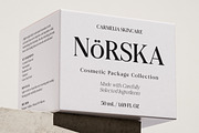 Felgiora, a Serif Font by Propertype (Thumbnail 8 of 16)