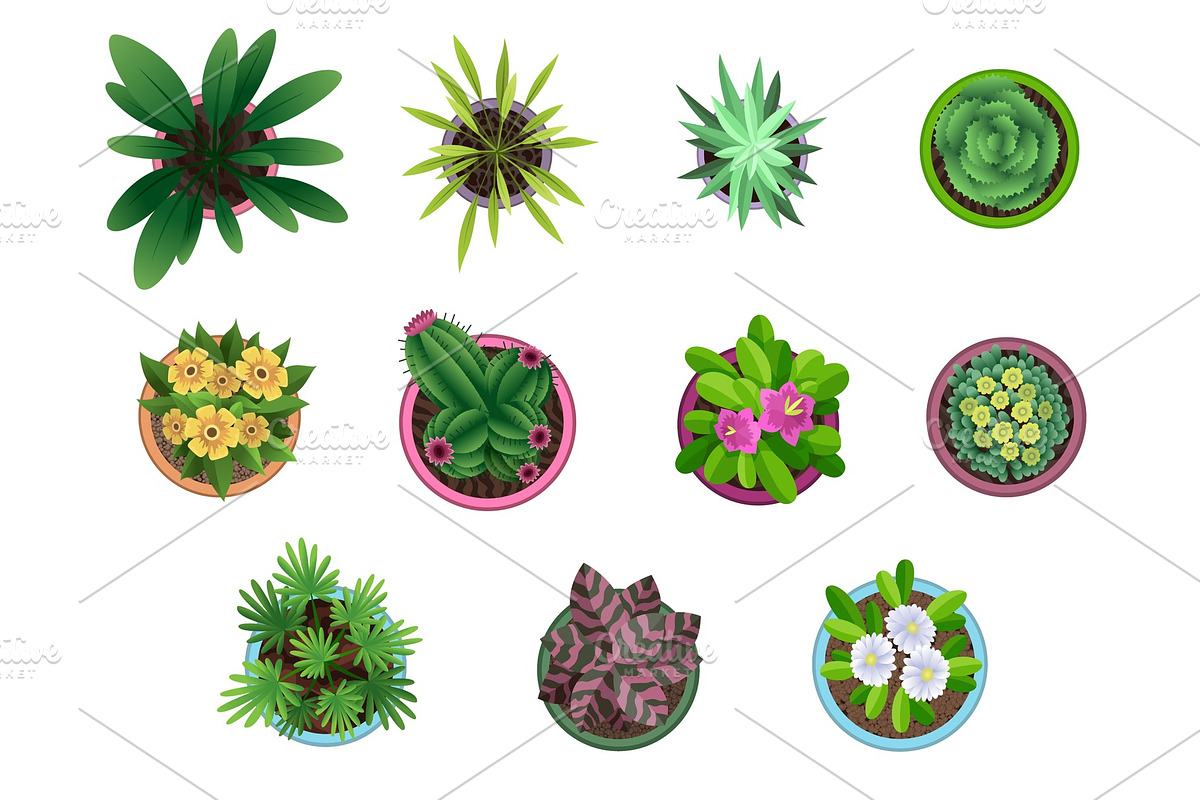 Collection of plant top view, a Decorative Illustration by Things for designers