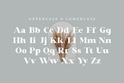 Glaure Vintage Serif Font, a Serif Font by Idea Studio (Thumbnail 8 of 10)