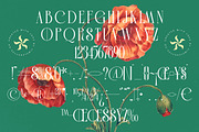 Leodarck New Modern Display Serif, a Serif Font by timelesstype.co (Thumbnail 19 of 20)