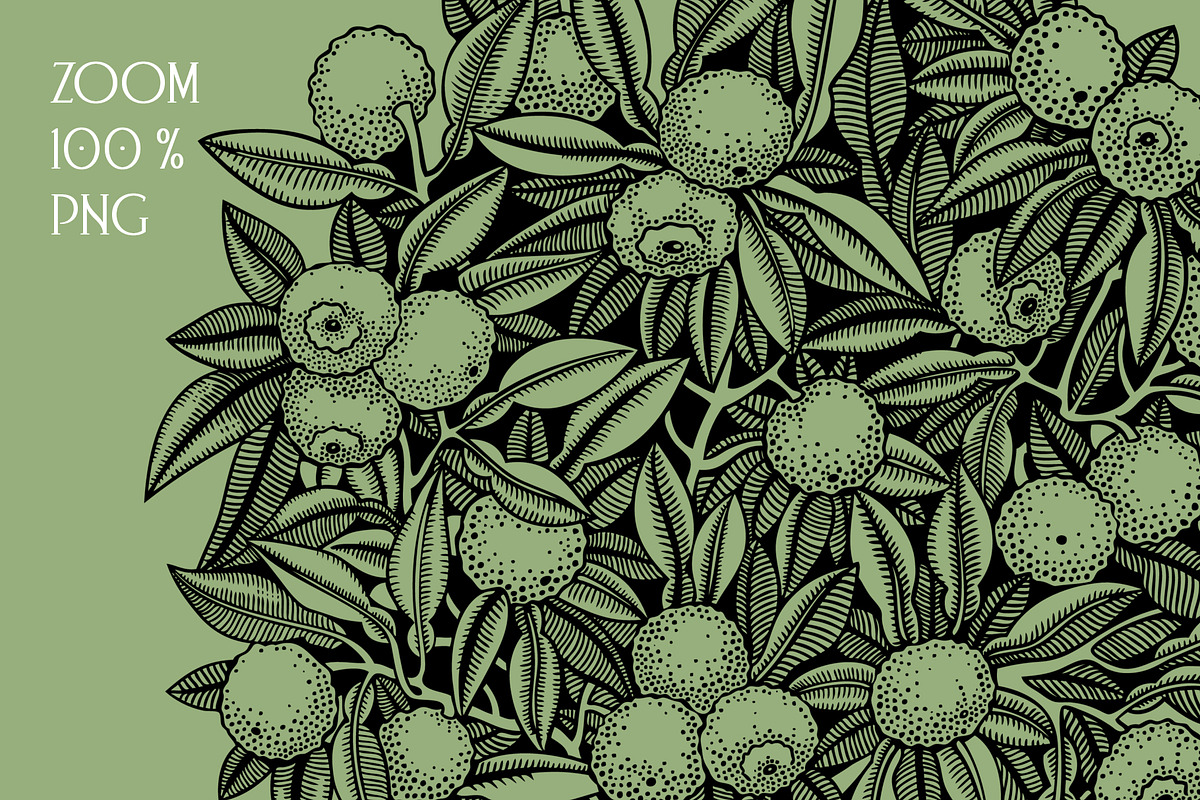 Yuzu - Citrus Fruit and Patterns, a Food Illustration by Yevheniia (Photo 6 of 12)