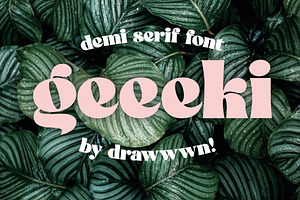 Geeeki - Fat Serif Font