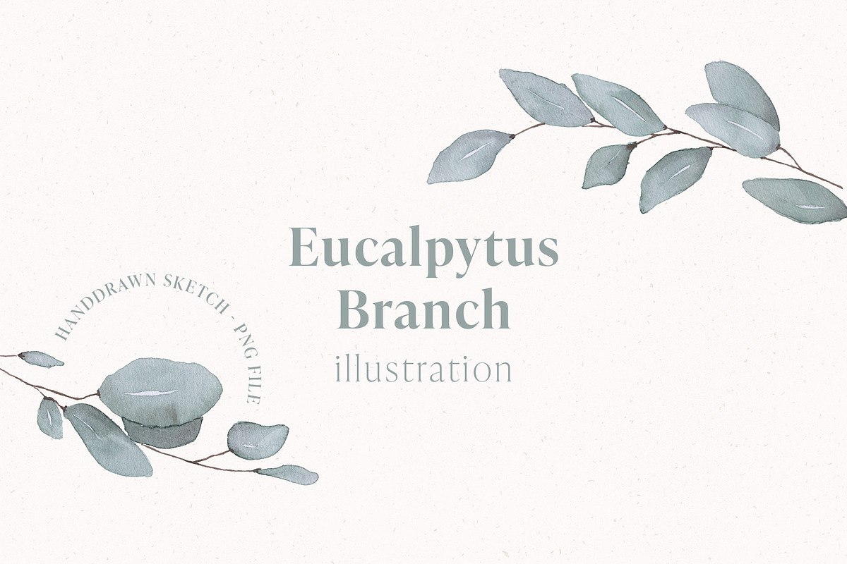Eukalyptus Branch Watercolor, an Illustration by liebe.erika - Papeterie (Photo 1 of 3)