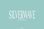 Elixir - Extra-Condensed Serif, a Serif Font by Schrifted Type (Thumbnail 2 of 8)