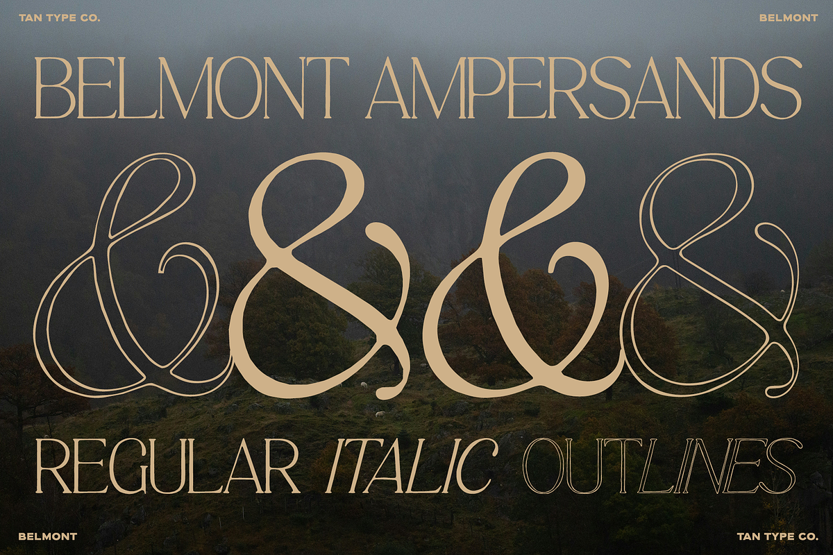 TAN-BELMONT-HANDWRITTEN SERIF, a Serif Font by TanType (Photo 7 of 10)
