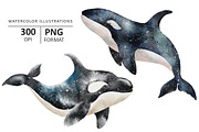 Octopus, Killer Whale and crab, an Animal Illustration by Evgeniia (Thumbnail 2 of 4)