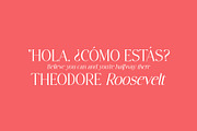 Stylish Avengers Serif Family, a Serif Font by moriztype (Thumbnail 12 of 13)