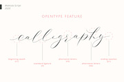 Mabista Script, a Script Font by Stipline Studios (Thumbnail 2 of 8)