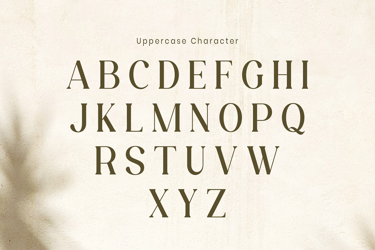 Velenor - Elegant Retro Serif Font, a Serif Font by Flawless And Co (Photo 6 of 10)