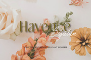 Havence | Elegant & Branded Font, a Sans Serif Font by Artdez (Thumbnail 1 of 3)