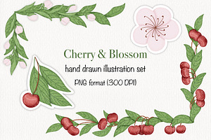 Cherry & Blossom