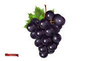 Red wine, dessert wine, vector icons, an Icon by Allevinatis Studio (Thumbnail 5 of 6)