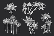 Palm Trees Drawings in Grunge Stylle, a Texture Illustration by Adiemus (Thumbnail 7 of 7)