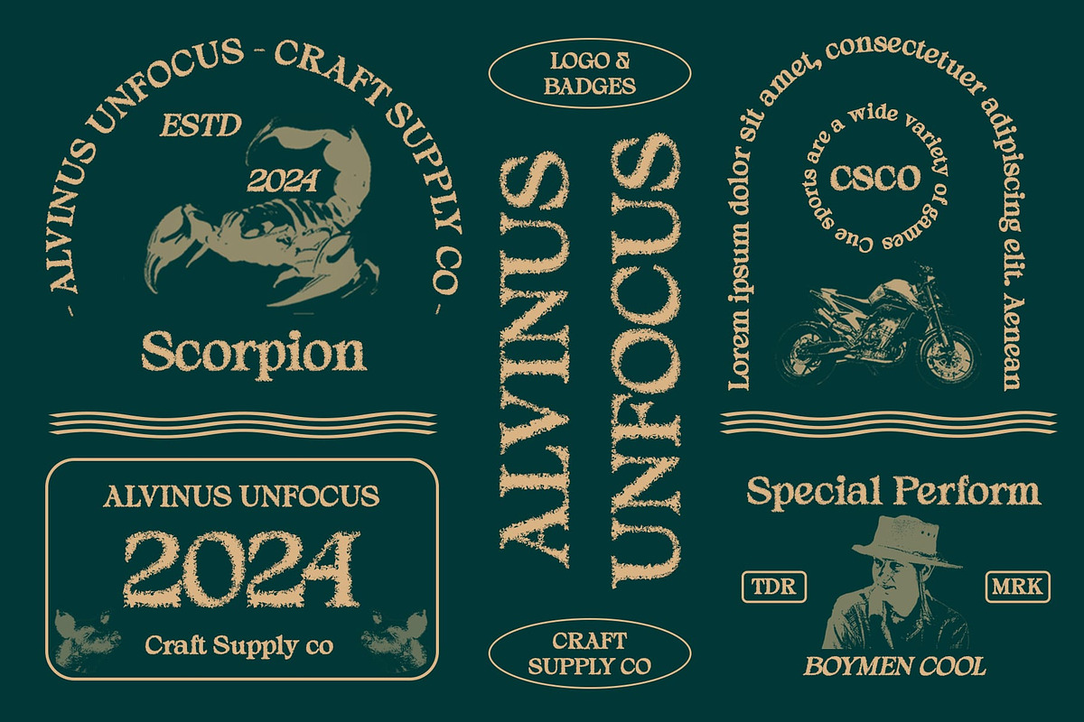 Alvinus Unfocus, a Serif Font by Craft Supply Co. (Photo 8 of 8)