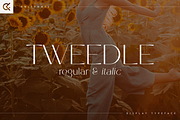 Tweedle - Display Typeface, a Serif Font by Only Fonts (Thumbnail 1 of 10)