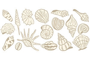 Beige seashells and mollusks hand, an Animal Illustration by Tati_Kli