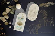 Frosty Forest Winter Collection, an Animal Illustration by Cat In Colour (Thumbnail 2 of 10)