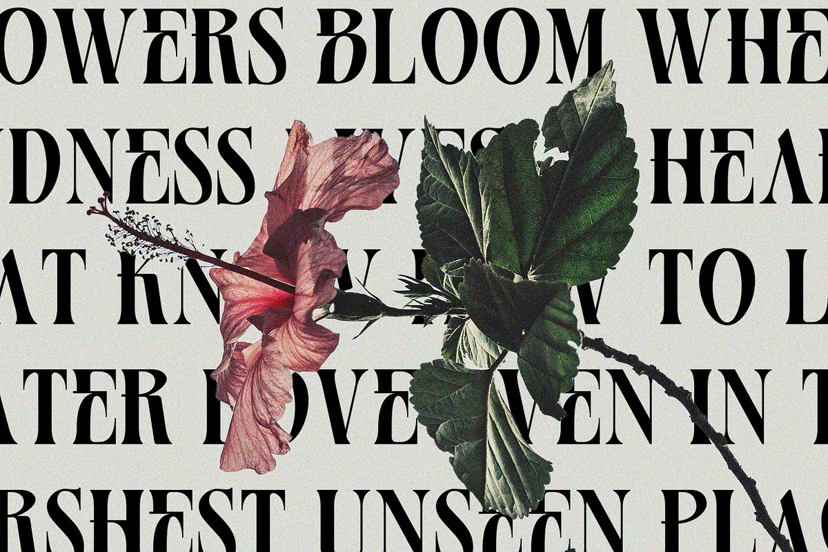 Basurist - Unique Modern Serif Bold, a Serif Font by Nokturnal13 (Photo 13 of 14)