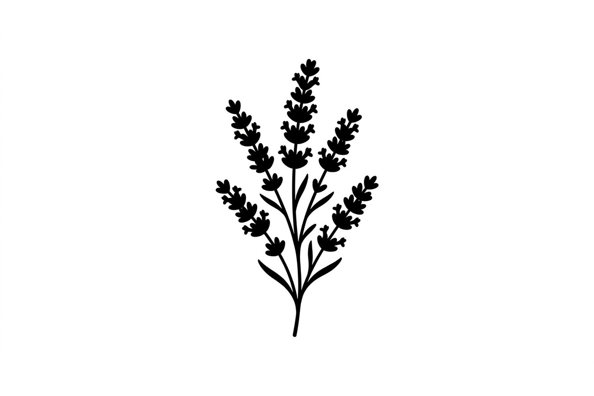 Lavender Botanical Silhouette Set, an Object Graphic by Designs_River (Photo 2 of 3)