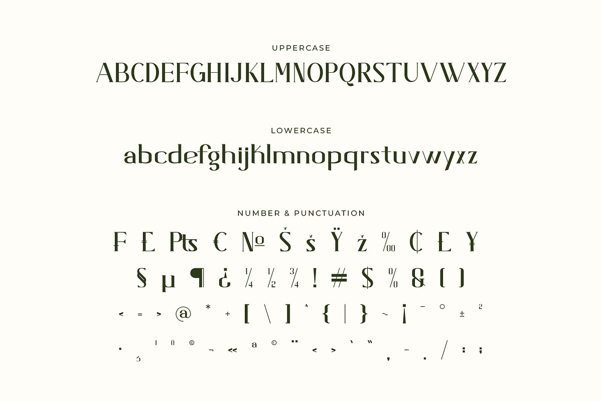 Arcavius - Modern Serif Font, a Serif Font by Rishsketch (Photo 13 of 15)