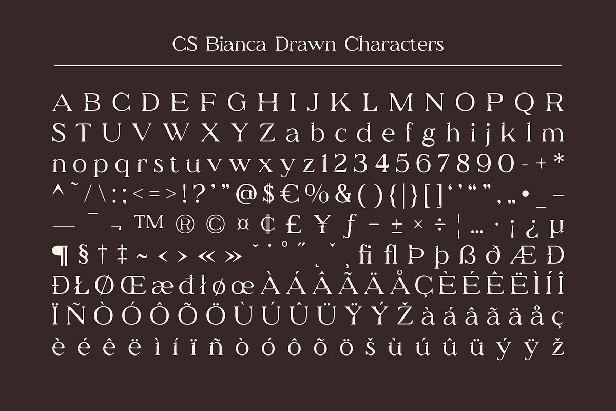 CS Bianca Drawn, a Serif Font by Craft Supply Co. (Photo 8 of 8)