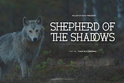 Verhole - Serif Slab Font, a Serif Font by Flawless And Co (Thumbnail 5 of 10)
