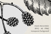 Vintage Forest Illustrations Set, an Object Graphic by Yevheniia (Thumbnail 6 of 7)