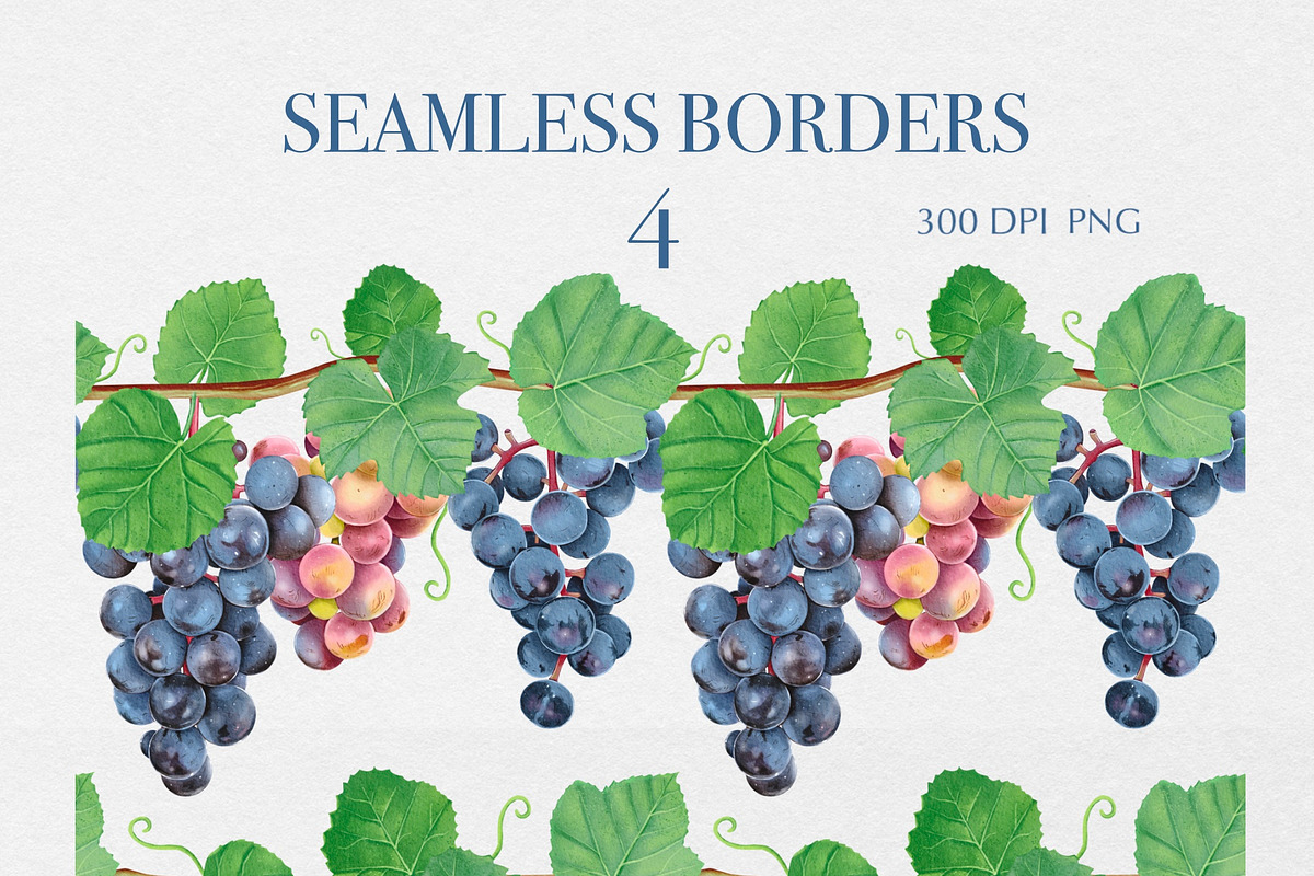 Watercolor Grapes Clipart, a Food Illustration by DiashaArt (Photo 5 of 8)