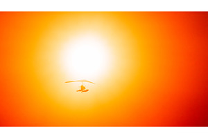 Motorized Hang Glider Flying In, a Transportation Photo by Our Amazing World