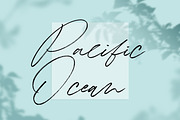 Winterlady- Beautiful Script Font, a Script Font by Balpirick Studio (Thumbnail 3 of 7)